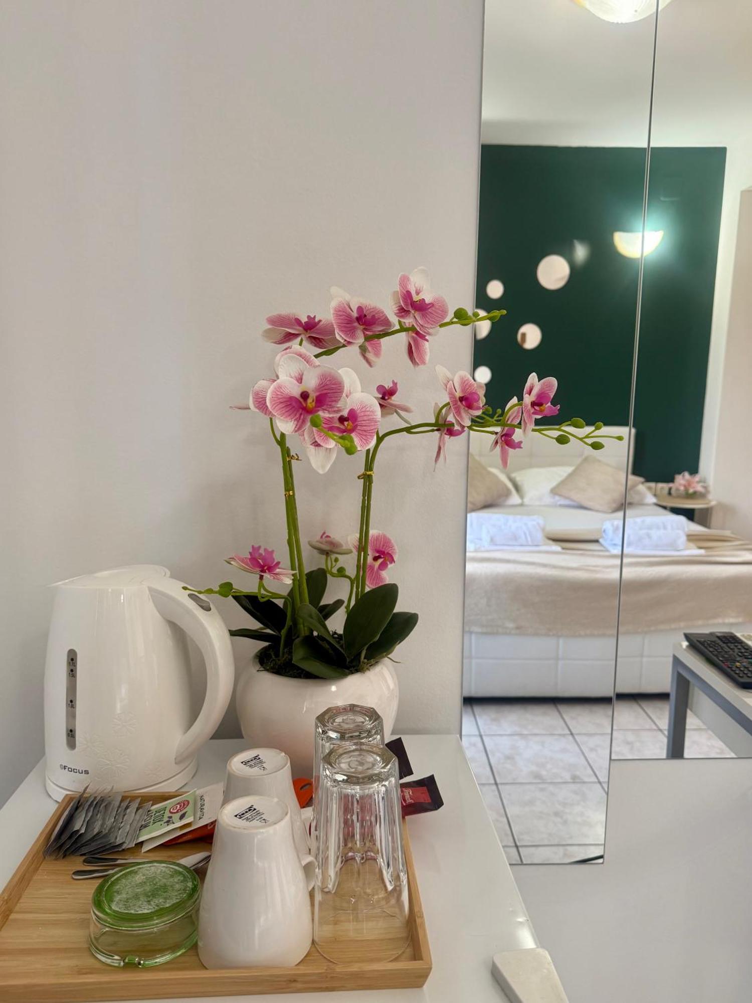 נובליה Apartments Ana & Ita מראה חיצוני תמונה
